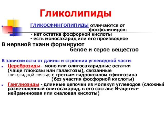 Гликолипиды ГЛИКОСФИНГОЛИПИДЫ отличаются от фосфолипидов: - нет остатка фосфорной кислоты