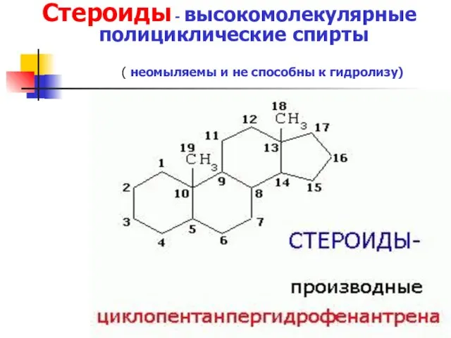 Стероиды - высокомолекулярные полициклические спирты ( неомыляемы и не способны к гидролизу)