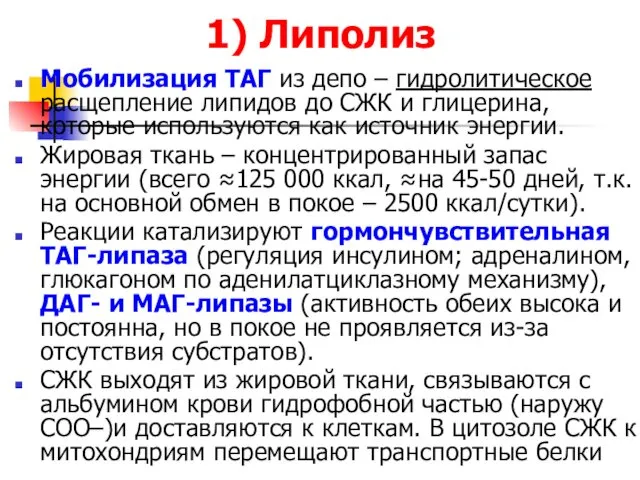 1) Липолиз Мобилизация ТАГ из депо – гидролитическое расщепление липидов