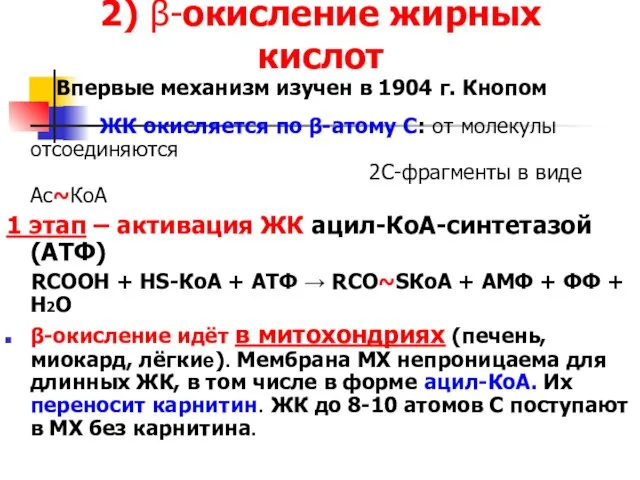 2) β-окисление жирных кислот Впервые механизм изучен в 1904 г.