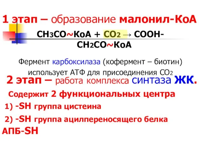 1 этап – образование малонил-КоА СН3СО~КоА + СО2 → СООН-СН2СО~КоА