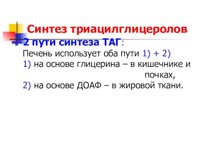 Синтез триацилглицеролов 2 пути синтеза ТАГ: Печень использует оба пути