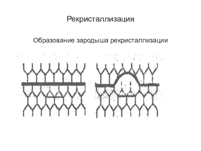 Рекристаллизация Образование зародыша рекристаллизации