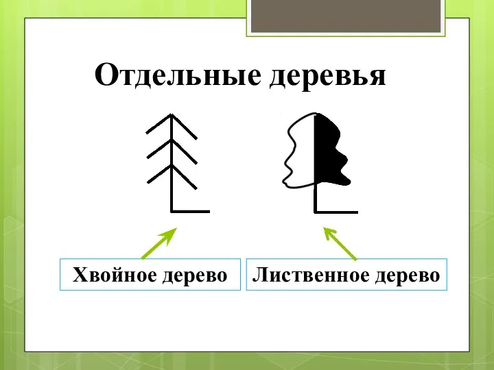 Отдельные деревья Хвойное дерево Лиственное дерево