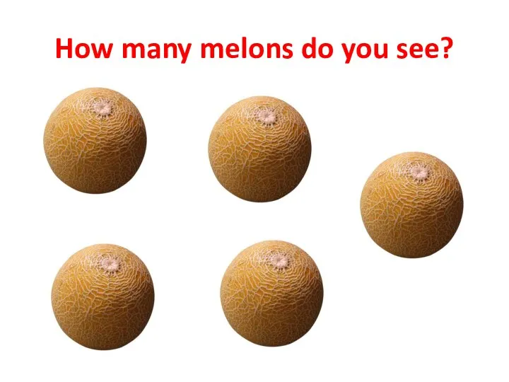 How many melons do you see?