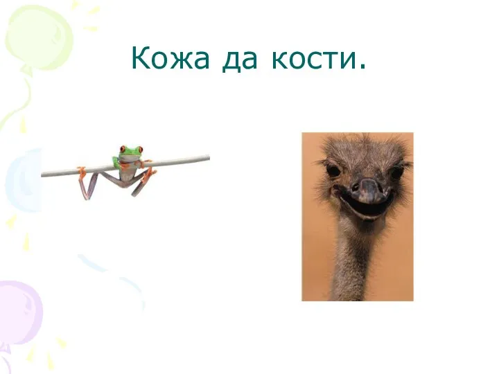 Кожа да кости.