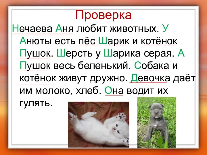 Проверка Нечаева Аня любит животных. У Анюты есть пёс Шарик