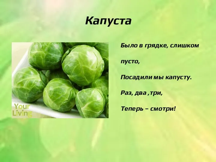 Капуста Было в грядке, слишком пусто, Посадили мы капусту. Раз, два ,три, Теперь – смотри!