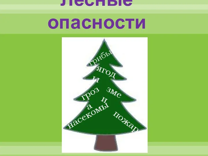 Лесные опасности грибы ягоды гроза змеи насекомые пожар