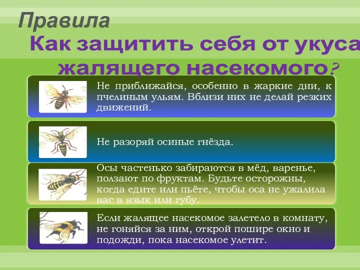 Правила Как защитить себя от укуса жалящего насекомого?