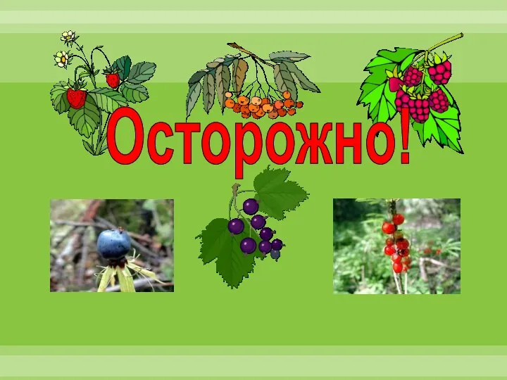 Осторожно!