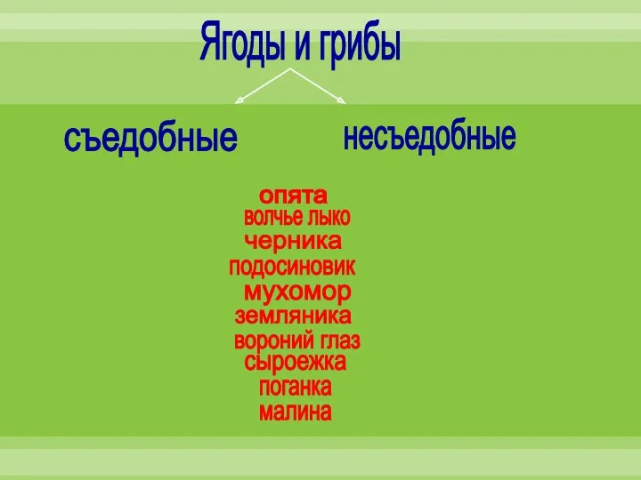 Ягоды и грибы съедобные несъедобные волчье лыко черника подосиновик мухомор