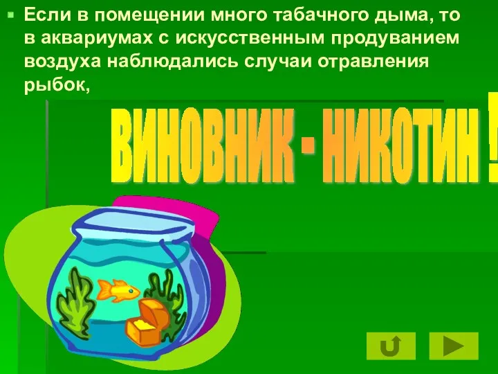 Если в помещении много табачного дыма, то в аквариумах с