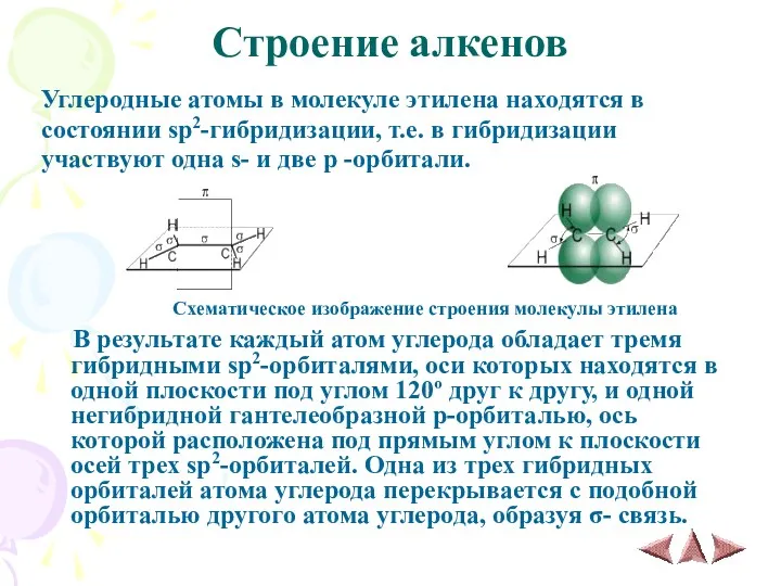 Строение алкенов Углеродные атомы в молекуле этилена находятся в состоянии