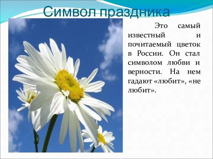 Символ праздника Это самый известный и почитаемый цветок в России.