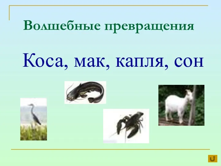 Волшебные превращения Коса, мак, капля, сон