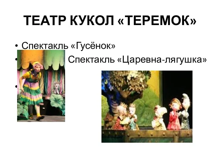 ТЕАТР КУКОЛ «ТЕРЕМОК» Спектакль «Гусёнок» Спектакль «Царевна-лягушка»