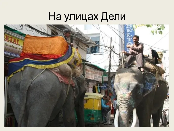 На улицах Дели