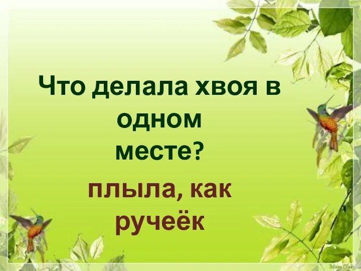 Что делала хвоя в одном месте? плыла, как ручеёк