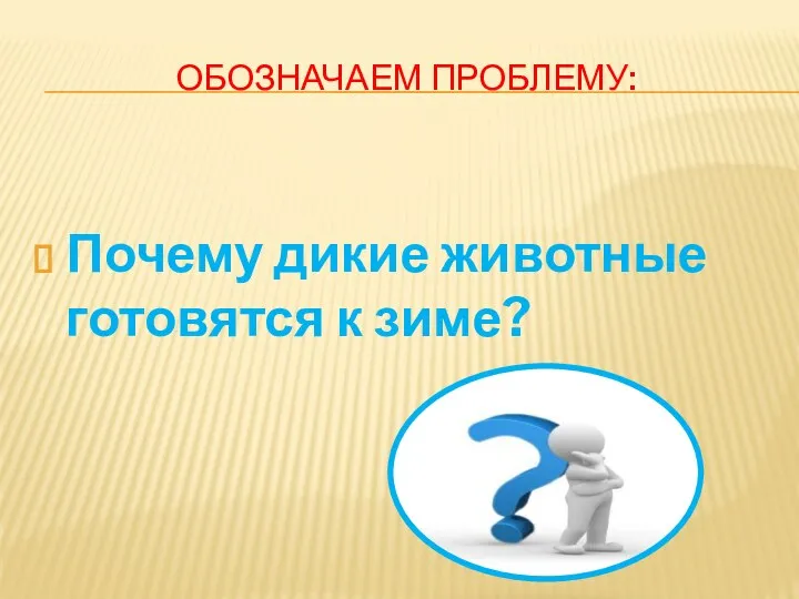 ОБОЗНАЧАЕМ ПРОБЛЕМУ: Почему дикие животные готовятся к зиме?