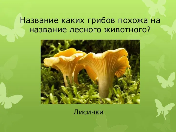 Название каких грибов похожа на название лесного животного? Лисички