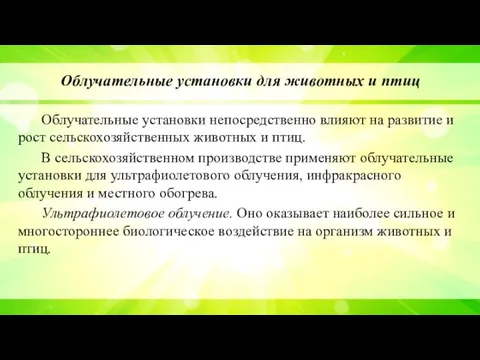 Облучательные установки для животных и птиц Облучательные установки непосредственно влияют