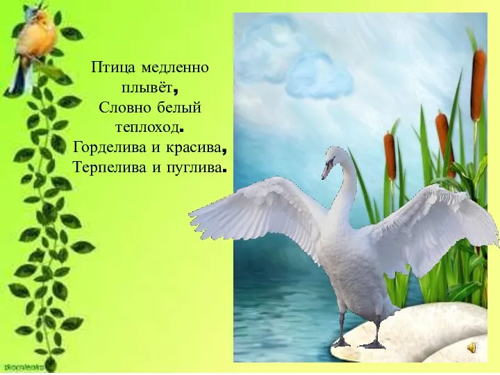 Птица медленно плывёт, Словно белый теплоход. Горделива и красива, Терпелива и пуглива.