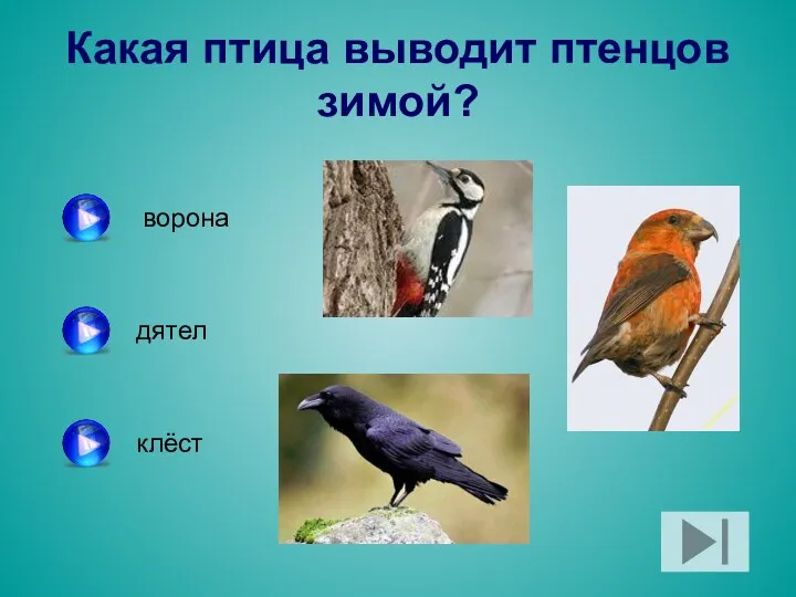 Какая птица выводит птенцов зимой? ворона дятел клёст