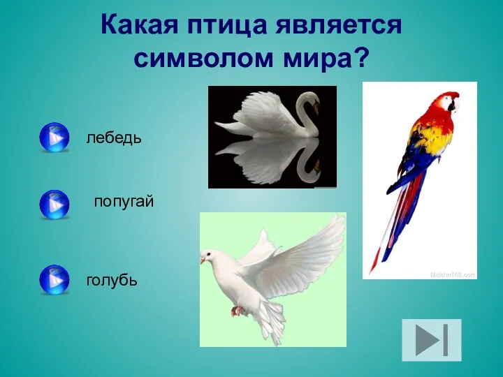 Какая птица является символом мира? лебедь попугай голубь
