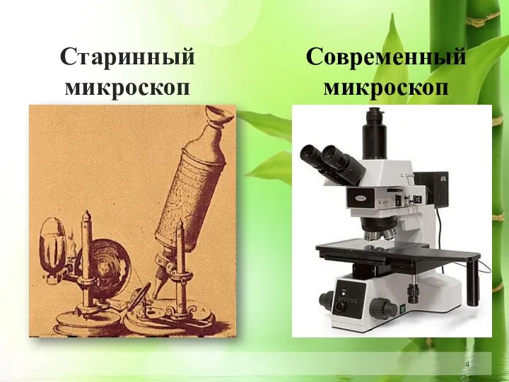 Старинный микроскоп Современный микроскоп