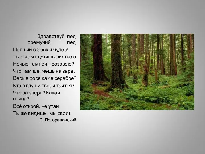 -Здравствуй, лес, дремучий лес, Полный сказок и чудес! Ты о