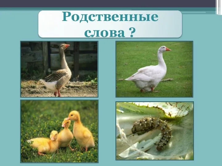 Родственные слова ?