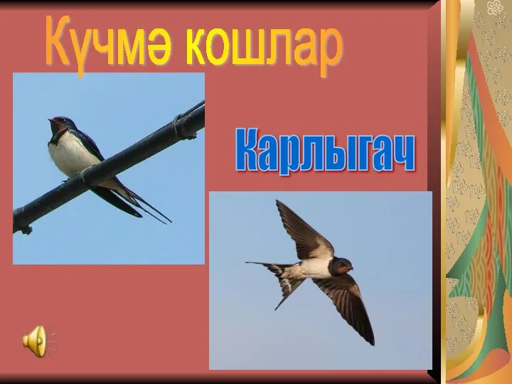 Күчмә кошлар Карлыгач