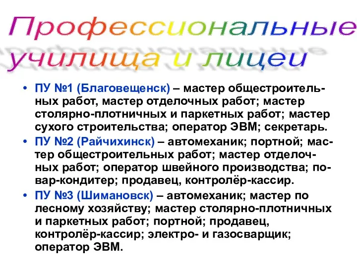 ПУ №1 (Благовещенск) – мастер общестроитель-ных работ, мастер отделочных работ;