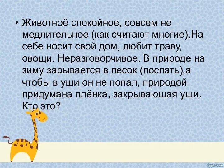 Животноё спокойное, совсем не медлительное (как считают многие).На себе носит свой дом, любит