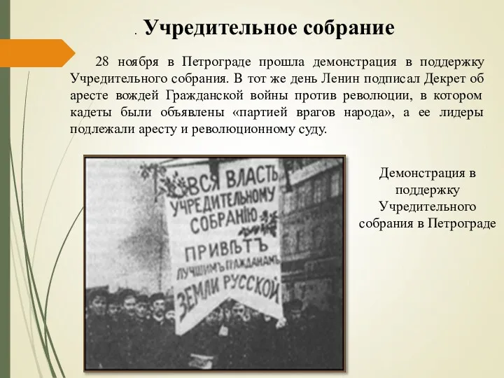 . Учредительное собрание 28 ноября в Петрограде прошла демонстрация в