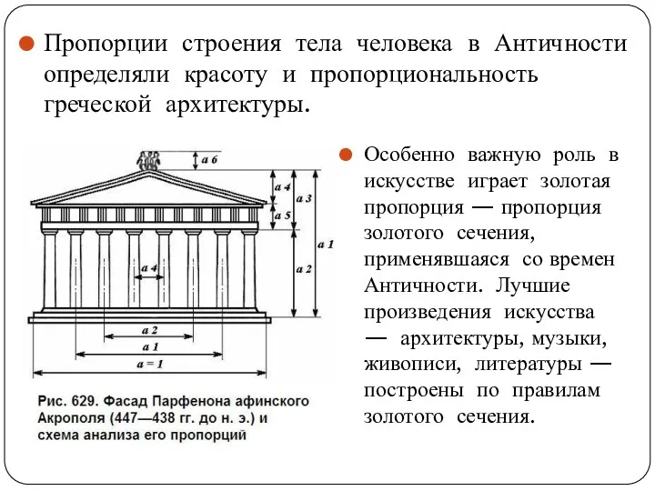 Пропорции строения тела человека в Античности определяли красоту и пропорциональность