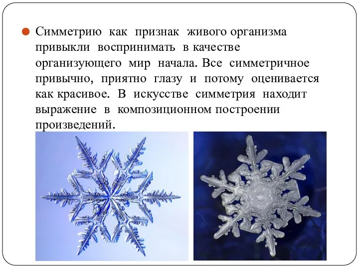 Симметрию как признак живого организма привыкли воспринимать в качестве организующего мир начала. Все