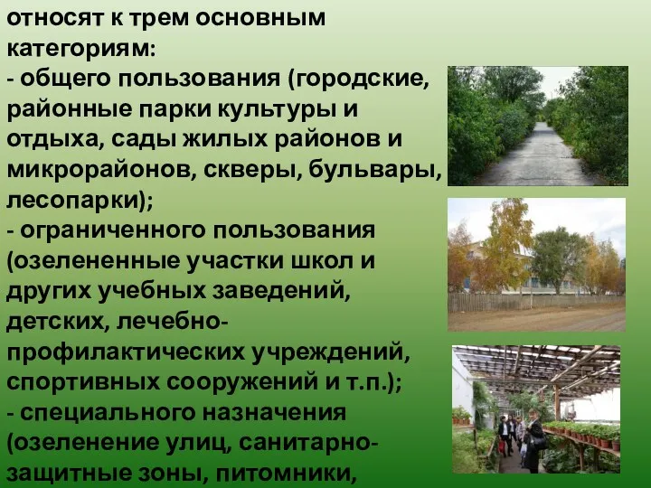 Городские зеленые насаждения относят к трем основным категориям: - общего