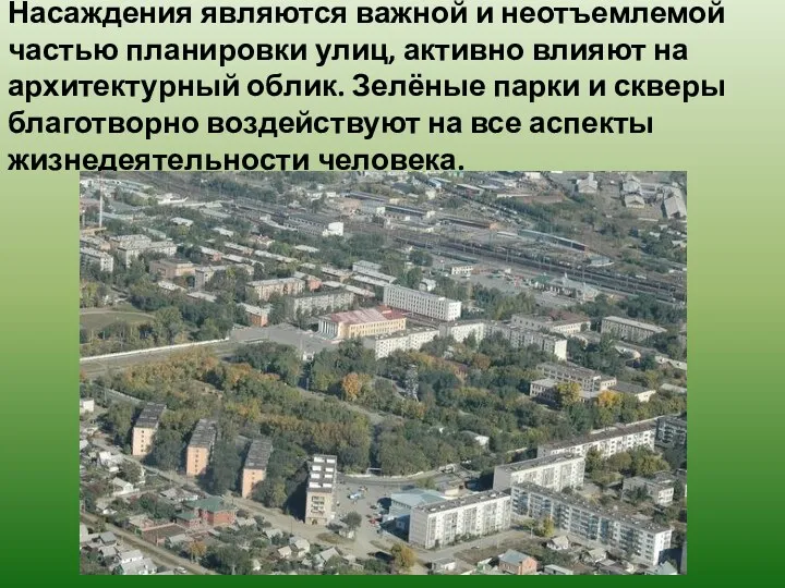 Насаждения являются важной и неотъемлемой частью планировки улиц, активно влияют