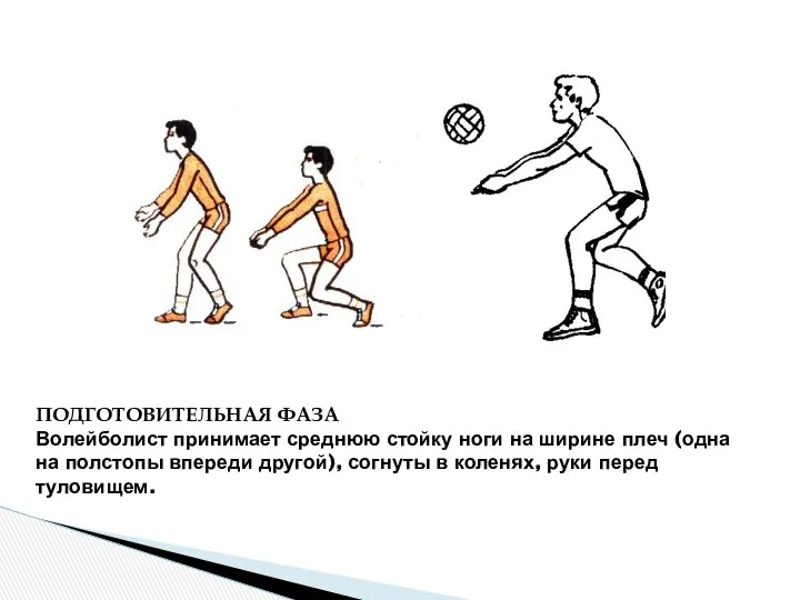 ПОДГОТОВИТЕЛЬНАЯ ФАЗА Волейболист принимает среднюю стойку ноги на ширине плеч (одна на полстопы