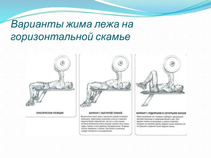 Варианты жима лежа на горизонтальной скамье