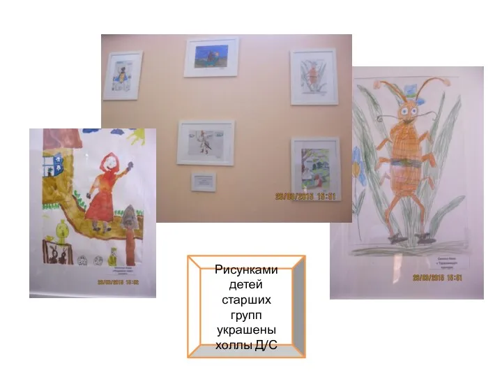 Рисунками детей старших групп украшены холлы Д/С