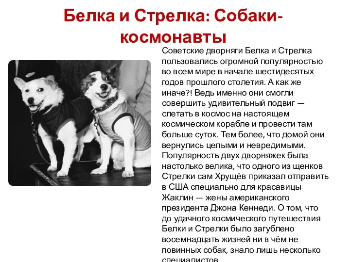 Белка и Стрелка: Собаки-космонавты Советские дворняги Белка и Стрелка пользовались огромной популярностью во