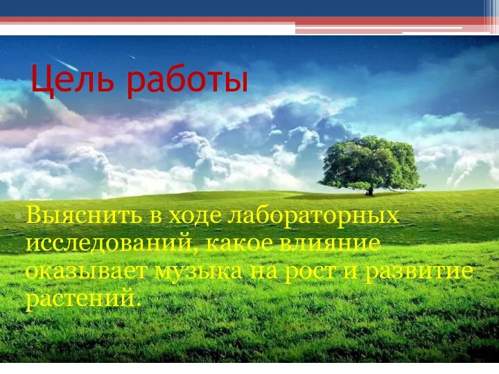 Цель работы Выяснить в ходе лабораторных исследований, какое влияние оказывает музыка на рост и развитие растений.