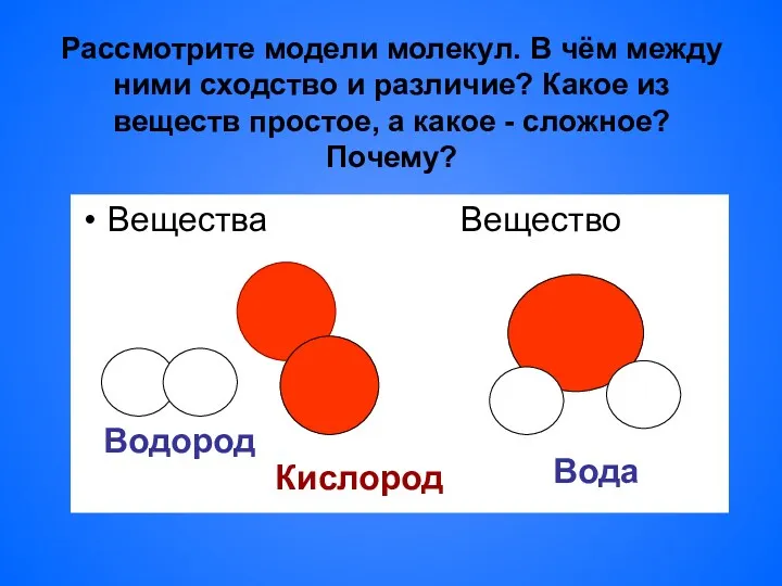 Рассмотрите модели молекул. В чём между ними сходство и различие?