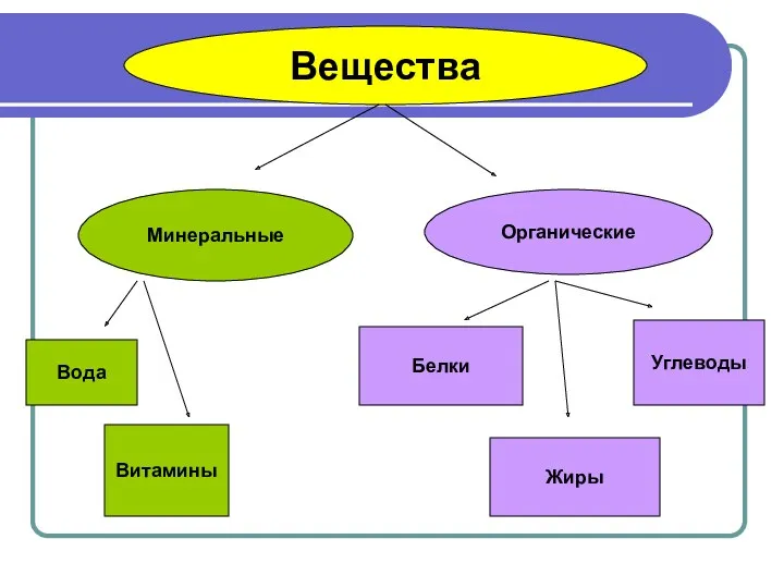 Вещества Минеральные Органические Вода Витамины Углеводы Жиры Белки