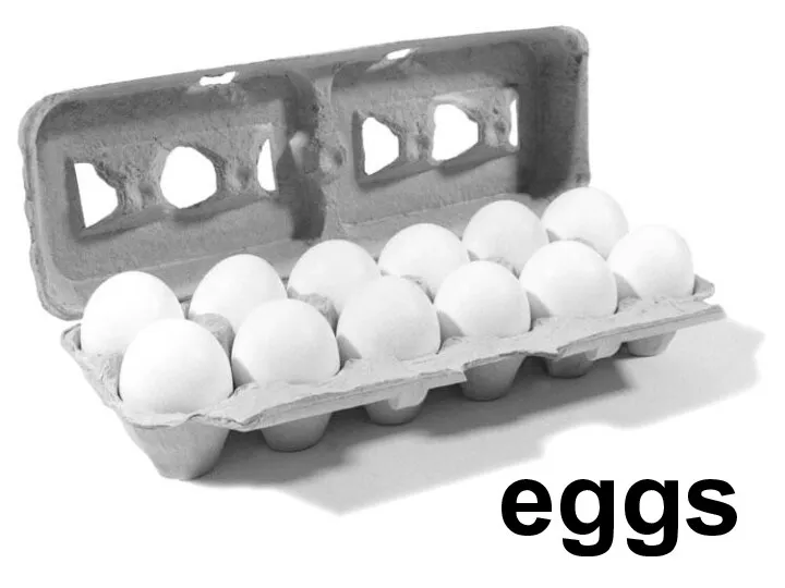 eggs