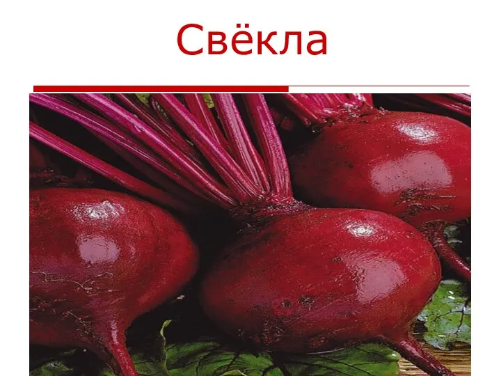 Свёкла