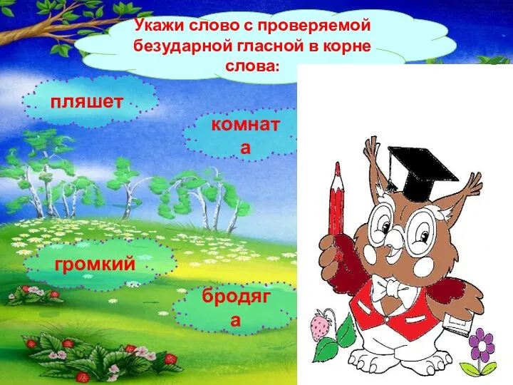 Укажи слово с проверяемой безударной гласной в корне слова: комната бродяга громкий пляшет